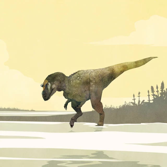 A highly sceptical Saltriovenator zanellai wonders if it’s really worth taking a swim to a nearby island to look for food in Italy during the Early Jurassic 🇮🇹🦖
#dinosaurs #dinosaur #dinosaurart #ceratosaur #theropod #theropods #jurassicworld #jurassic #paleontology #palaeontology #paleoart #palaeoart #paleoillustration #illustration #paleoartist #artistsoninstagram #art #italy #dinosaursofinstagram #digitalart #animals #earthhistory #animalart #lombardia