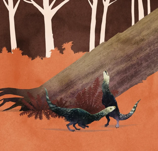 Friday evening means dance off for this couple of Qianlong shouhu during the Early Jurassic in China 💃🏼🪩🕺🏽🦕🦖
#dinosaurs #dinosaur #dinosaurart #sauropodomorph #saurischia #jurassicworld #jurassic #paleontology #palaeontology #paleoart #palaeoart #paleoillustration #illustration #paleoartist #artistsoninstagram #art #china #dinosaursofinstagram #digitalart #animals #earthhistory #animalart #friday #dance #fossilfriday