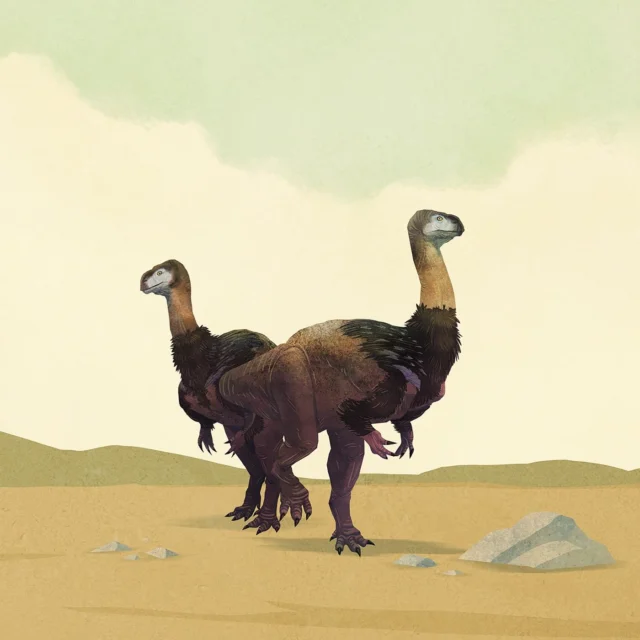 A couple of Yunnanosaurus huangi enjoying their Saturday morning walk in China during the Early Jurassic #dinosaurs #dinosaur #dinosaurart #sauropodomorpha #sauropodiformes #saurischia #jurassicworld #jurassic #paleontology #palaeontology #paleoart #palaeoart #paleoillustration #illustration #paleoartist #artistsoninstagram #art #china #dinosaursofinstagram #digitalart #animals #earthhistory #animalart #prehistoric