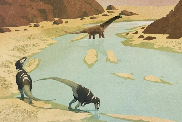 Another double-page spread from my new #book (När dinosaurierna tog över, @idusforlag) depicting a scene from Argentina during the Early Jurassic. A pair of theropods (Condorraptor currumili) quench their thirst while observing a sauropod (Amygdalodon patagonicus) crossing the river. Meanwhile, the pterosaurs (Allkauren koi) are having a blast.

#dinosaurier #faktabokförbarn #barnböcker #evolution #närdinosauriernatogöver #dinosaurs #dinosaur #sauropod #theropod #pterosaur #jurassicworld #jurassic #paleontology #palaeontology #paleoart #palaeoart #paleoillustration #illustration #paleoartist #artistsoninstagram #art #dinosaursofinstagram #digitalart #animals #prehistoric #artist #naturalhistory #prehistoricplanet #bookstagram